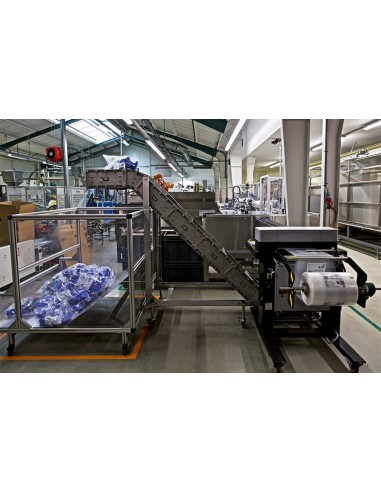 DESARROLLOS EN LA INDUSTRIAL DEL E-FULFILMENT
